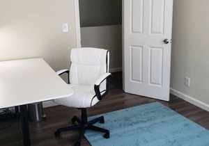 Dolphin Room | SJ Shark House