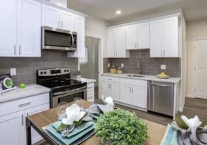 Dolphin Room | SJ Shark House