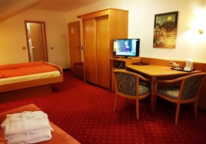 Double Room - Hotel-Restaurant-Café Goldbächel