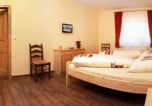Double room 1 - Guesthouses Am Nibelungensteig