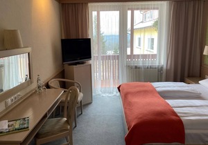 Double room, shower, WC, balcony - WAGNER'S Hotel and Restaurant Schönblick