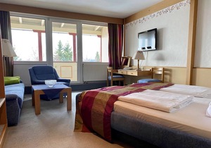 Double room, shower, WC, balcony - WAGNER'S Hotel and Restaurant Schönblick