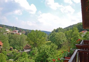 Double room without balcony 04 - Gasthaus Zum Pälterwald