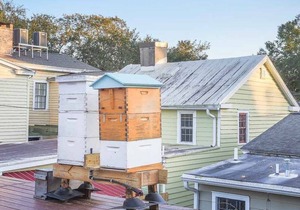 Downtown Historic District Gem w/ Courtyard and 3 King Beds by Lucky Savannah