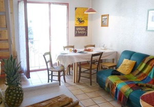 Duplex à Luchon, 2 chambres, 4 pers, proche thermes et téléphérique, animaux admis - FR-1-313-190