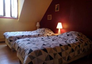 Duplex à Luchon, 2 chambres, 4 pers, proche thermes et téléphérique, animaux admis - FR-1-313-190