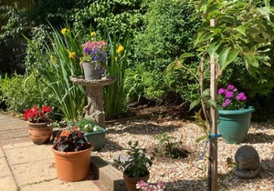 East Hillerton House Studio