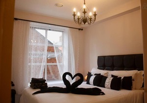 Elegant Modern 2 BDRM Apt. near Temple Bar ☘