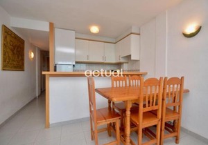 Elypalace 8-6