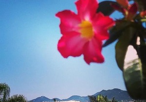 Embaú Mar - ecocasa Morada Canto Verde - Guarda do Embaú SC - Brasil