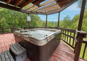 Enchanted Primrose Chalet #3709 Chalet