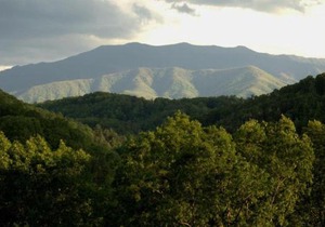 Enchanted Primrose Chalet #3709 Chalet