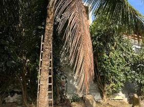 ESCAPE PARA O PARAISO, Casa Mobiliada com PISCINA e Salão de jogos, 300mt da PRAIA