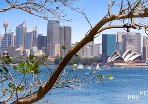 Everlast at Cremorne Point