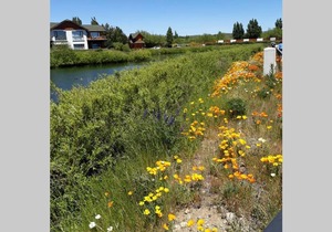 excelente departamento 4 personas villa Dina huapi 2 ambientes amplios PB