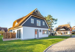 Experience more in the dream garden.