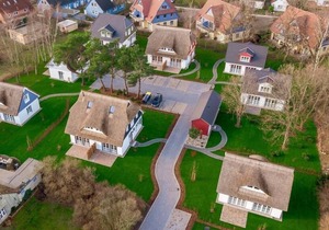 Experience more in the dream garden.