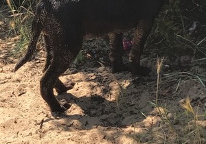 F17 mablethorpe chalet park