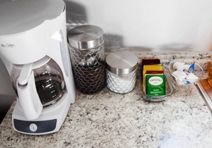 Fairground/OSU + K9s Welcome | Family Friendly