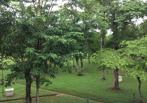 Family apartment, quiet location, close to 4 beaches and the Itaguá neighborhood.