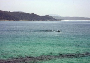 FAR SHORE
