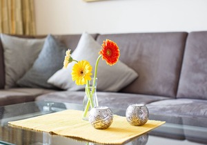 Feel the breeze in the morning.