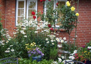 Ferien unterm Reetdach Whg 01