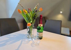 Feriendorf Rugana - Klassik Appartement mit 1 Schlafzimmer B57