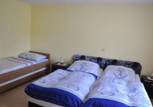 Ferienhaus Benz USE 1641