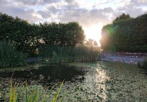 Ferienhaus Bliev-Hee Nr 4