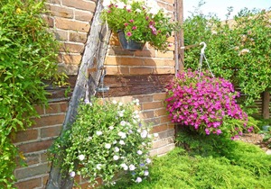 Ferienhaus Kleinzerlang SEE 8991