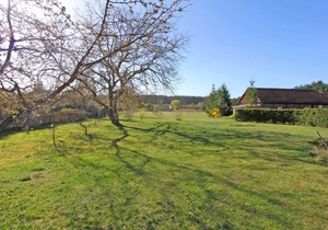 Ferienhaus Kleinzerlang SEE 8991