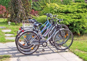 Ferienhaus Kleinzerlang SEE 8991