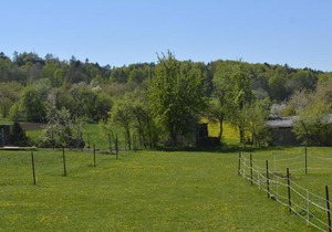 Ferienwohnung Elisabeth - [#133191]