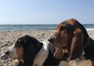 Ferienwohnung KWE 32EG