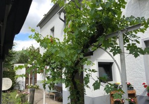 Ferienwohnung Lahnmündung