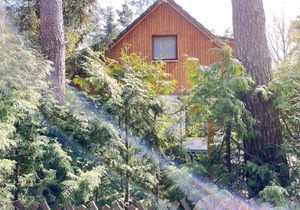 Ferienwohnungen Dierhagen MOST 1110