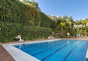 FIVE STAR 3 bedroom Apt in ideal location - RDR237