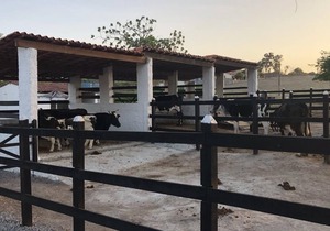 FLAT 601 RESORT VILLA HYPICA - GRAVATÁ-PE