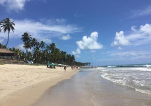 Flat Carneiros Beach Resort