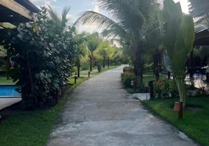 Flat Eco Resort Praia Dos Carneiros PE