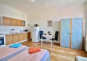 Flatel for 3 in Nusle