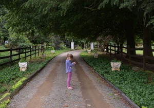 Flitwick Ranch, D630, Swartberg, KwaZulu-Natal, South Africa, 4710