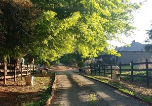 Flitwick Ranch, D630, Swartberg, KwaZulu-Natal, South Africa, 4710