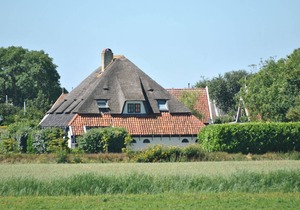 Florijn 4