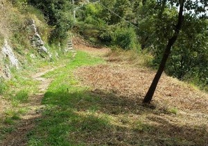 Furore Panoramic apartment