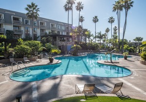 G-203 Endless Summer in Oceanside