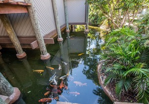 G-203 Endless Summer in Oceanside