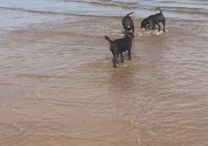 G10 mablethorpe chalet park