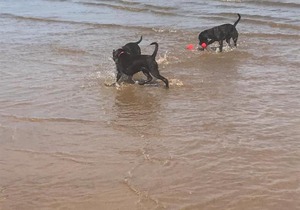 G10 mablethorpe chalet park